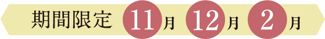 11月・12月・1月の期間限定