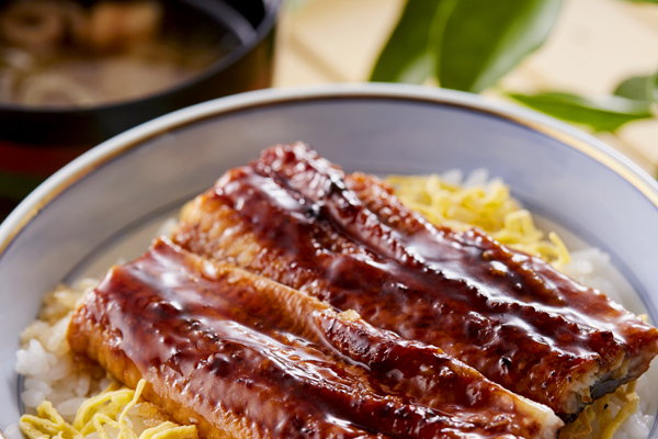 うなぎ丼